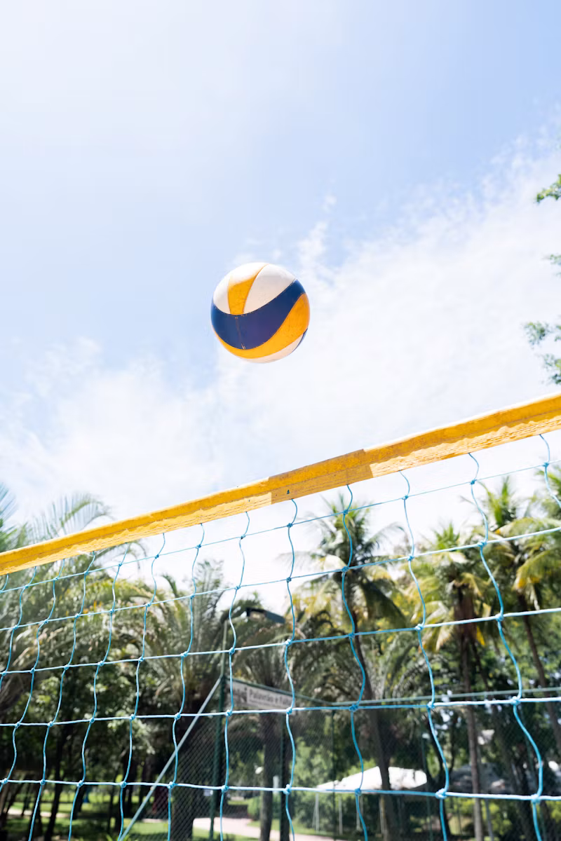 Volei așezat